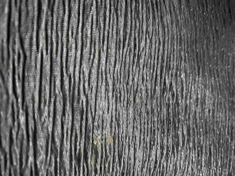 100% Polyester Crepe Fabric