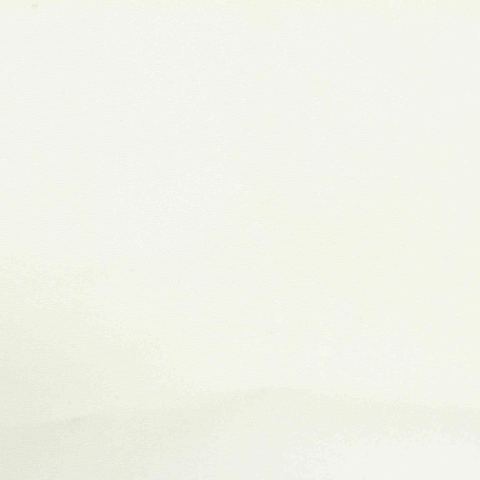 Polyester Viscose Stretch Woven Fabric