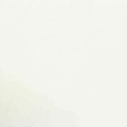 Polyester Stretch Woven Fabric