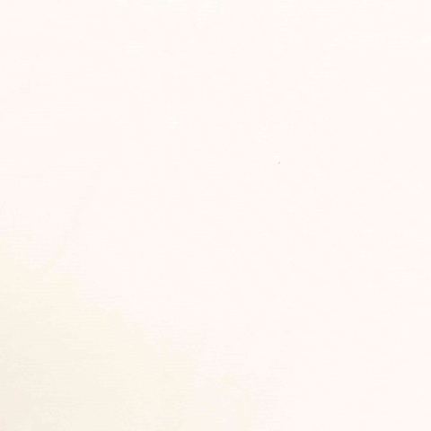 100% Polyester Knit Fabric