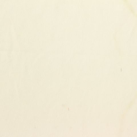 100% Polyester Jersey Knit Fabric