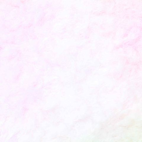 100% Polyester Knit Fabric