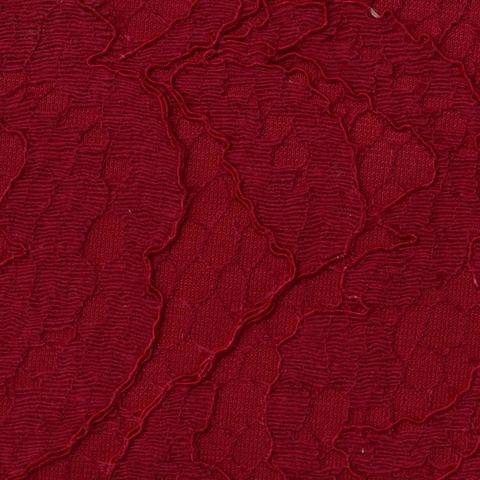 Red Tone-on-Tone Lace