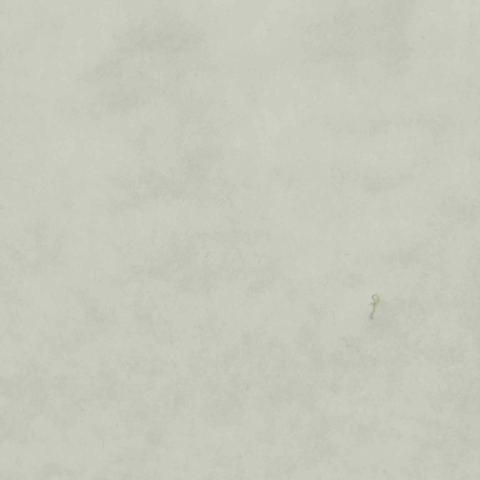 Brushed Polyester Cotton Stretch Knit Fabric