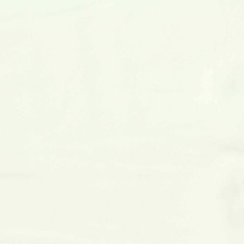 Polyester Stretch Jersey Knit Fabric