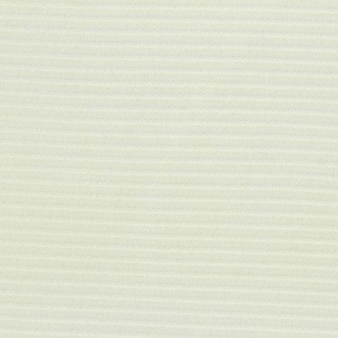 Polyester Stretch Knit Fabric