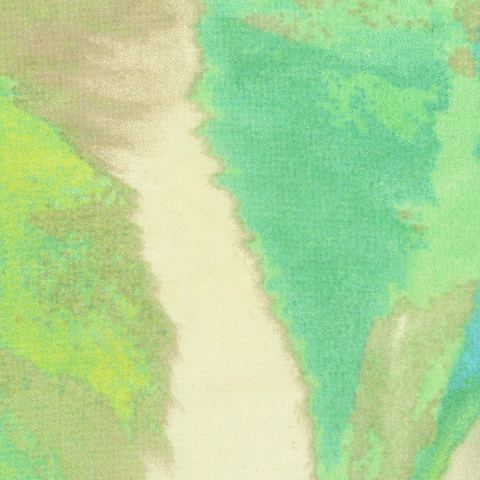 Printed 100% Polyester Chiffon Fabric