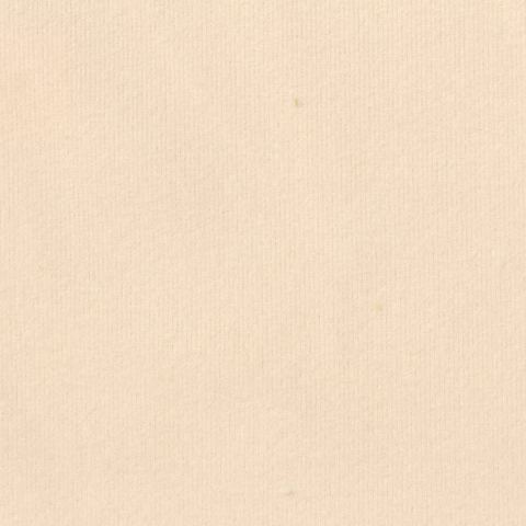 100% Polyester Velvet Fabric
