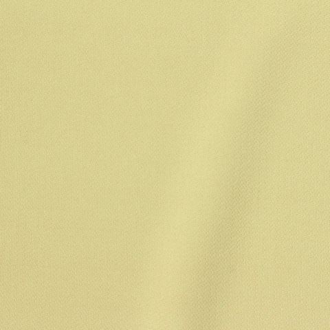 Polyester Interlock Knit Fabric