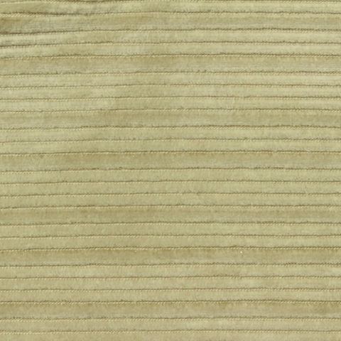 Velvet Fabric