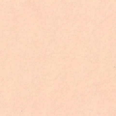 Brushed 100% Polyester French Terry Fabric