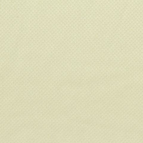 Polyester Stretch Knit Fabric