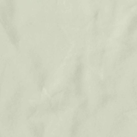 Brushed Polyester Stretch Warp Knit Fabric