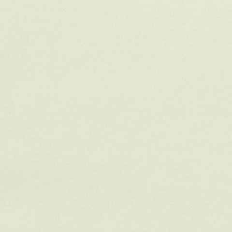 Cotton Polyester Stretch Scuba Knit Fabric