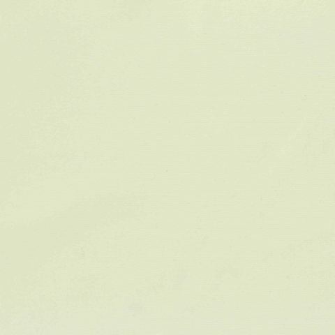 Nylon Stretch Warp Knit Fabric