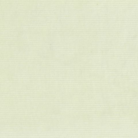 Cotton Polyester Stretch Velvet Fabric