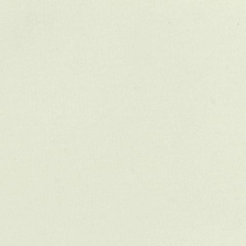 Polyester Viscose Stretch Scuba Knit Fabric