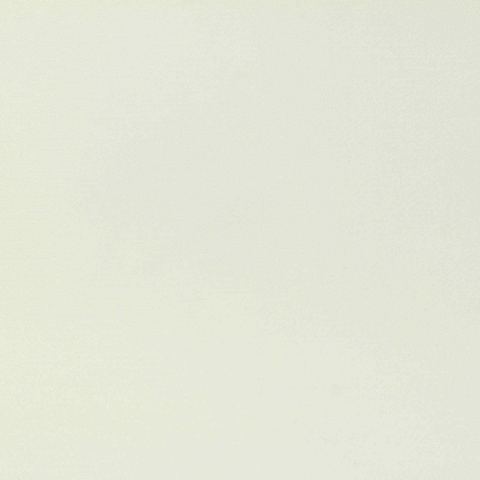100% Polyester Woven Fabric