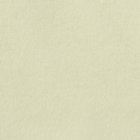 Polyester Wool Coating Fabric