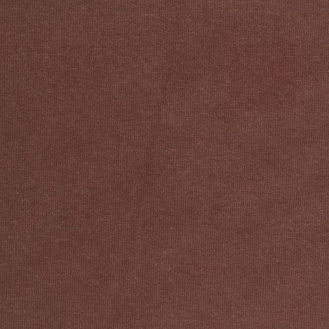 Brushed Cotton Stretch Jersey Knit Fabric