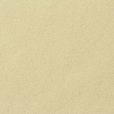 Polyester Stretch Velvet Fabric