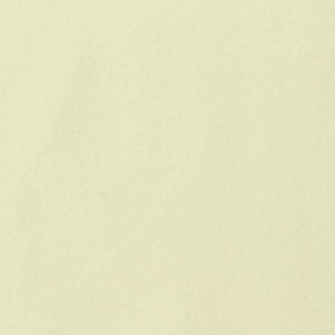Polyester Stretch Velvet Fabric