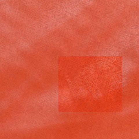 100% Polyester Woven Fabric